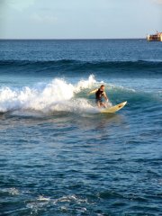 Surfer and Surfing Websites